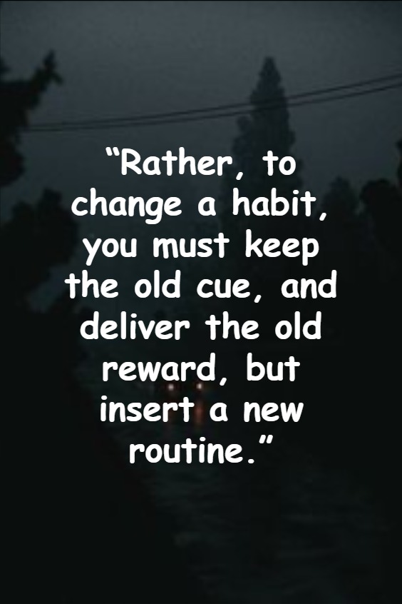 Quotes on the Power of Habit Quotes on the Power of Habit
