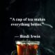 35 Inspiring and Famous Tea Quotes to Savor Every Sip - Dreams Quote