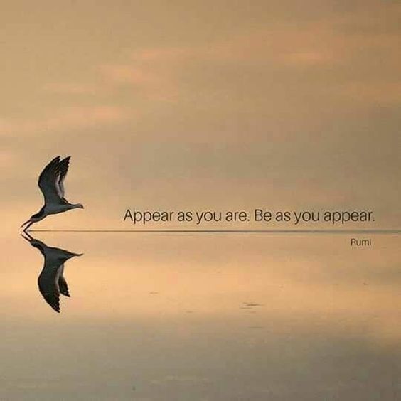 Morning peace and serenity Morning peace and serenity