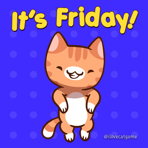 funny friday gif funny friday gif