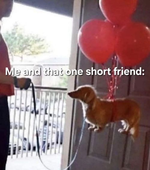 a man holding a dog on a leash and some red heart balloons with the words me and thats one short friend
