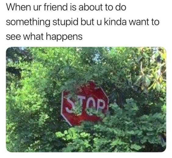 a red stop sign sitting in the middle of trees a red stop sign sitting in the middle of trees