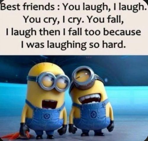 two minion characters with the caption saying best friends you laugh i laugh