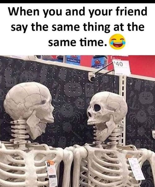 two skeletons sitting next to each other with the caption saying when you and your friend say the same thing at the same time