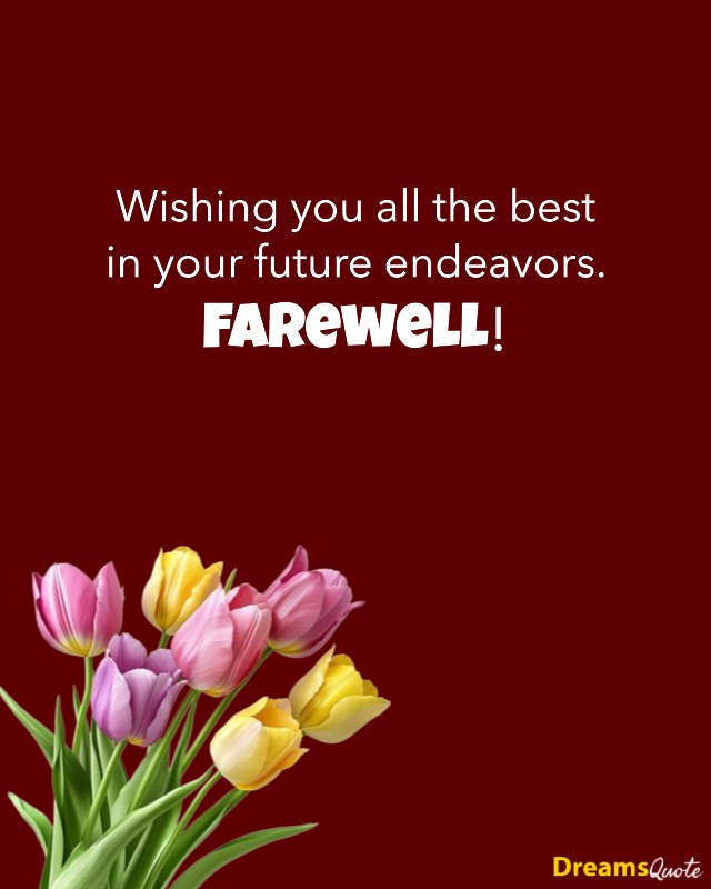 Farewell message with a bouquet of colorful tulips on a dark red background.