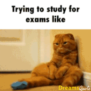 Good Luck GIFs Messages