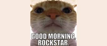 35 Funny Good Morning Memes In meme 1