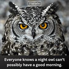 35 Funny Good Morning Memes Parade 1