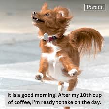 35 Funny Good Morning Memes memes