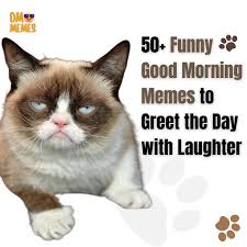35 Funny Good Morning Memes to Greet 1