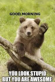 50 Funny Good Morning Memes to Greet