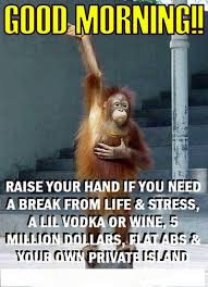 95 Funny Good Morning Memes with Pictures