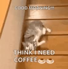 Funny Good Morning GIFs Tenor 8