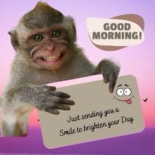 Funny Good Morning Quotes 2