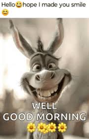 Good morning funny gif tenor