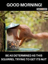 Good Morning Funny Meme Jokes 1