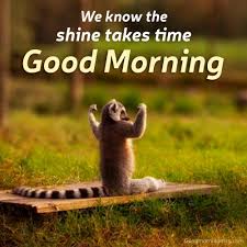 Good Morning Funny Memes Images