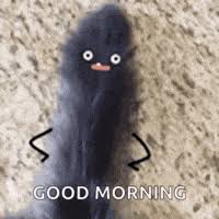 Good Morning Meme GIFs Find Share meme