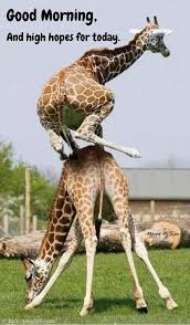 Good morning have a fruitful day 1