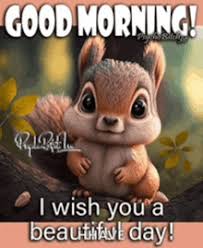 Memes Good Morning GIFs Tenor