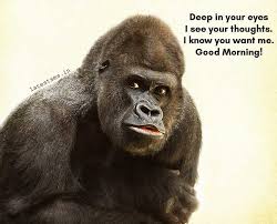 Funniest Flirty Good Morning Memes 2