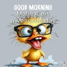 Silly good morning quotes humor