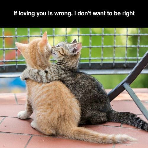 Related Relationship Memes