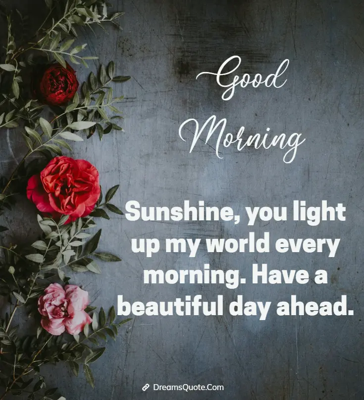 A romantic good morning message decorated with red and pink roses on a dark, rustic background