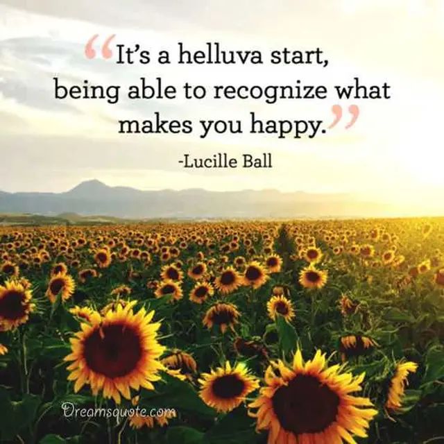 An inspirational quote card featuring dark serif text with light pink quotation marks reading a quote by Lucille Ball set over a scenic field of sunflowers under a bright glowing sky with the Dreamsquote.com watermark at the bottom left. Lucille Ball Happiness Sunflower Field Quote Card Image